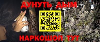 крисы Будённовск