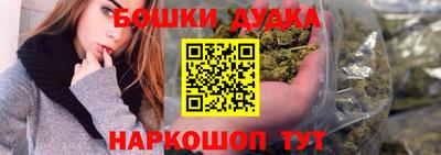 крисы Будённовск