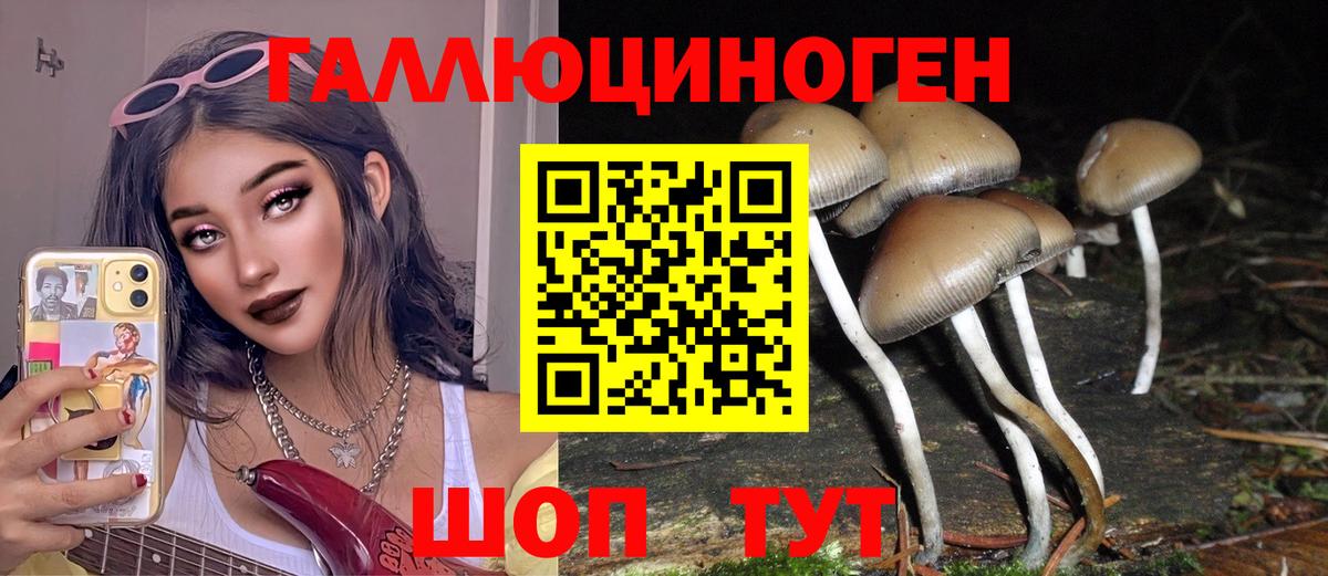 Псилоцибиновые грибы прущие грибы Кореновск