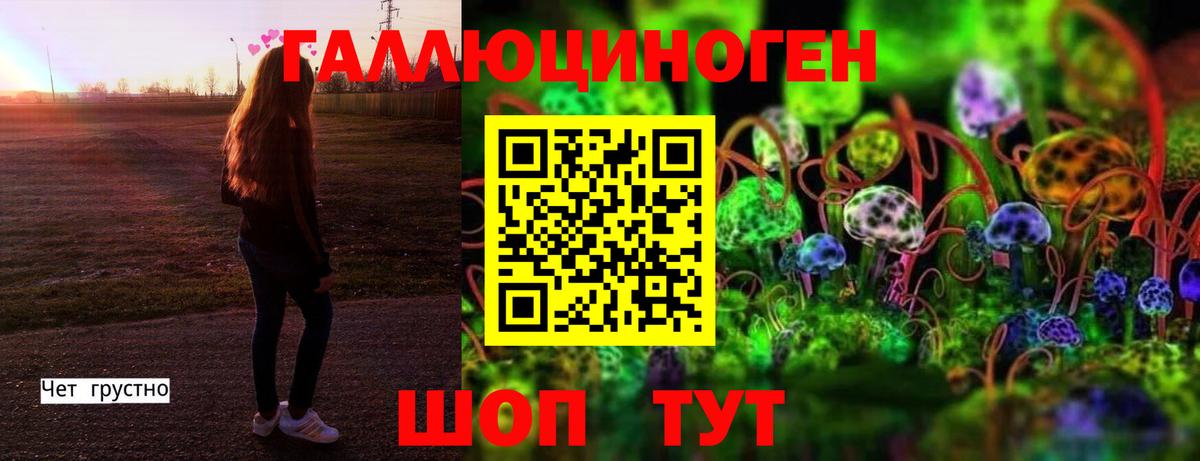Кореновск  Галлюциногенные грибы Cubensis  закладки  Вход с VPN 