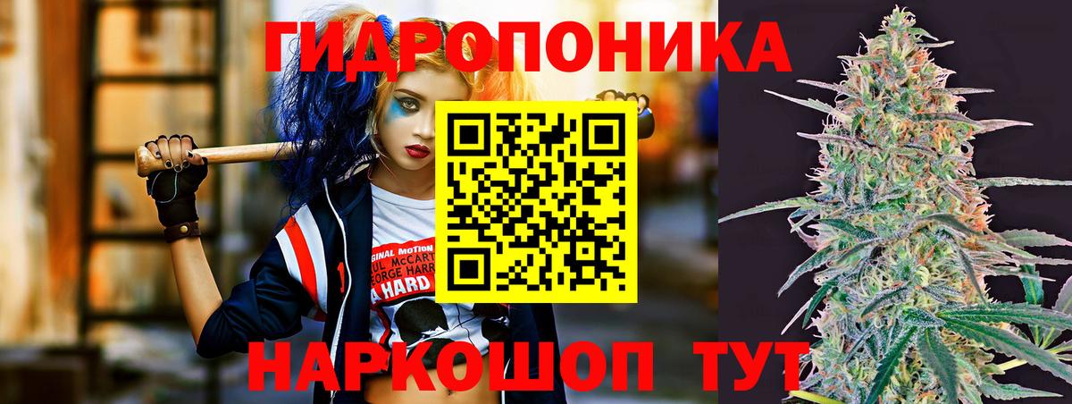 Шишки марихуана OG Kush  МАРИХУАНА планчик  Кореновск  Бошки марихуана сатива  Вход с VPN 